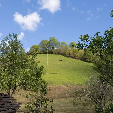 Semesterbostad La Plazuca Cerrucao Selaya