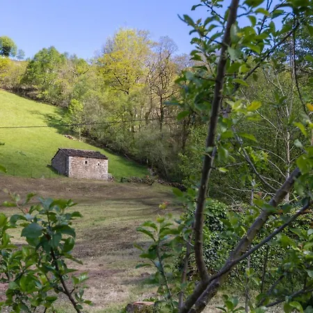 La Plazuca Cerrucao Selaya