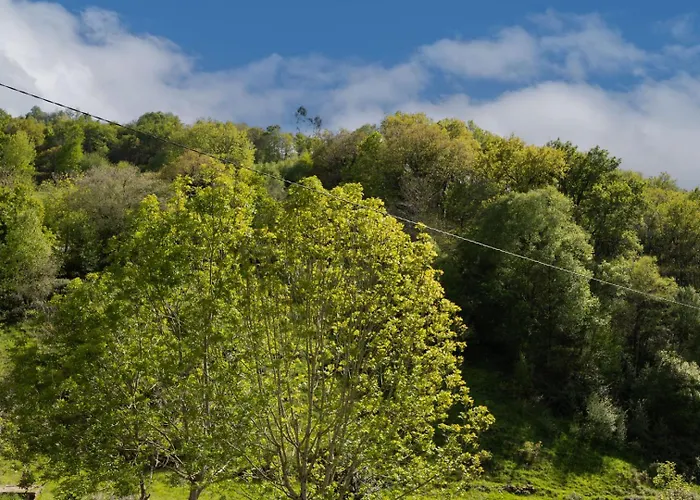 Hébergement de vacances La Plazuca Cerrucao Selaya