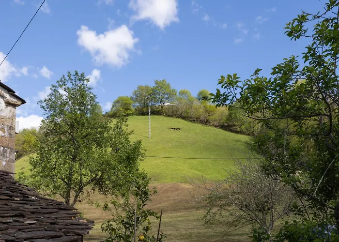 Hébergement de vacances La Plazuca Cerrucao Selaya
